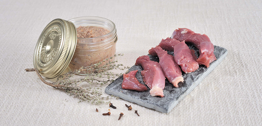 Rillettes de canard