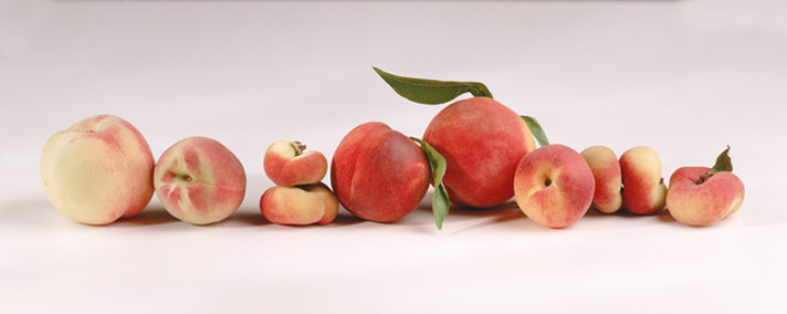 Découvrez les triplés du soleil : pêche, nectarine, brugnon