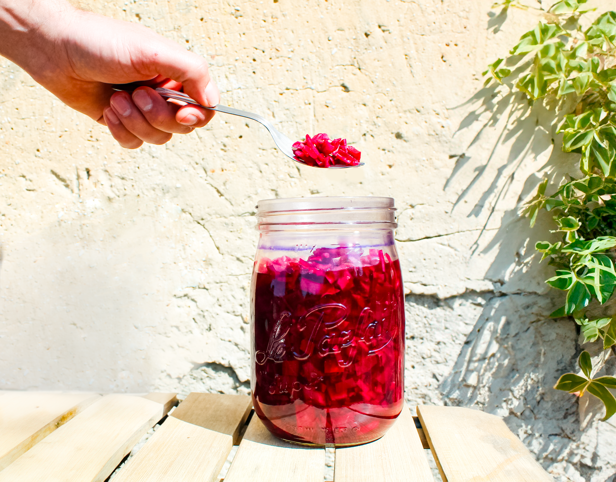 Chou rouge, ail et carottes lactofermentés