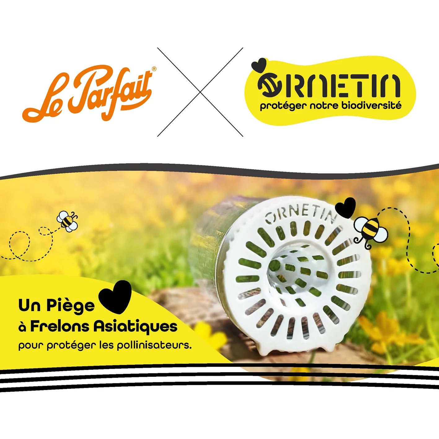 Le Parfait x Ornetin : Un piège à frelon asiatique !