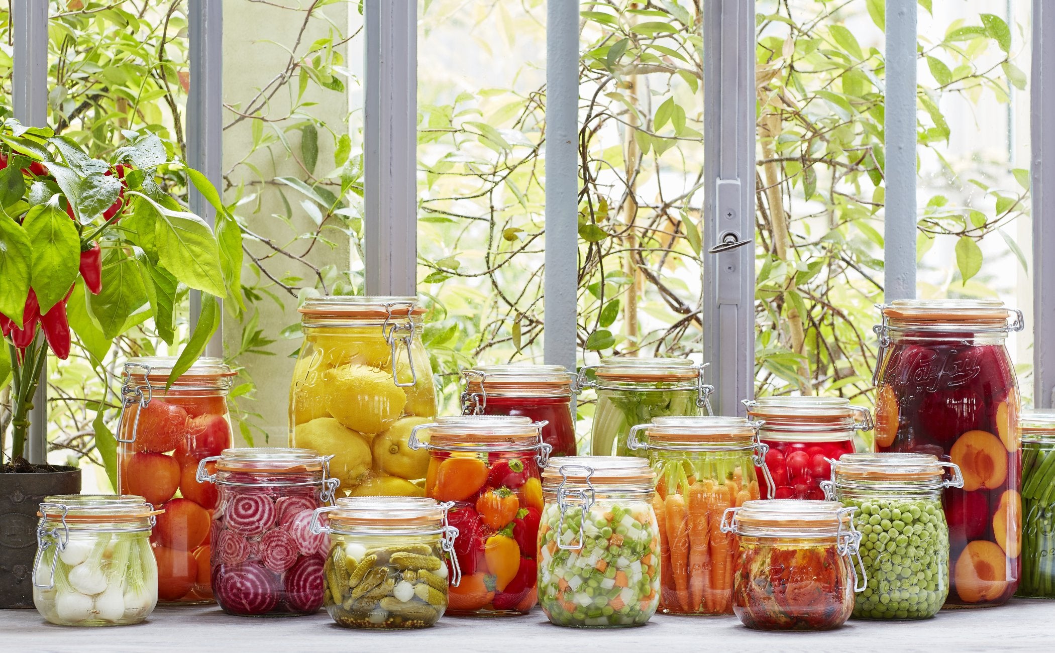 Pots et bocaux en verre Le Parfait