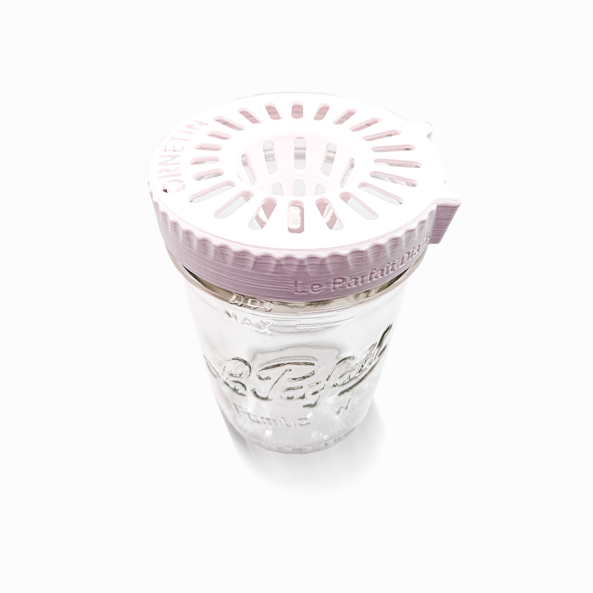 Asian hornet trap "Familia Wiss 750" Ø 100 - Le Parfait X Ornetine