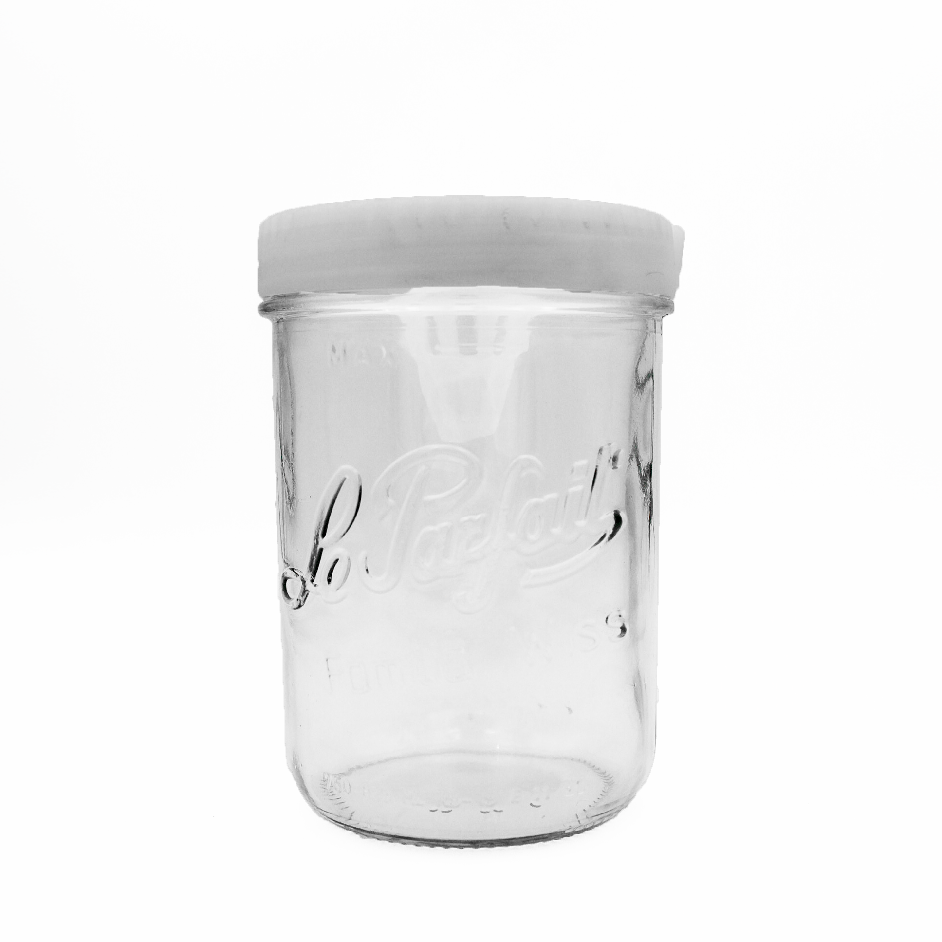 Asian hornet trap "Familia Wiss 750" Ø 100 - Le Parfait X Ornetine